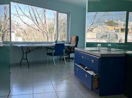 33 m² Office for rent in Alvaro Obregon, Mexico City, Alvaro Obregon