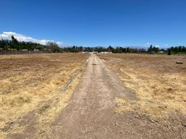  Land for sale in Chile, Requinao, Cachapoal, Libertador General Bernardo Ohiggins, Chile