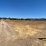  Land for sale in Chile, Requinao, Cachapoal, Libertador General Bernardo Ohiggins, Chile