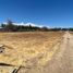  Land for sale in Chile, Requinao, Cachapoal, Libertador General Bernardo Ohiggins, Chile
