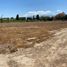  Land for sale in Chile, Requinao, Cachapoal, Libertador General Bernardo Ohiggins, Chile