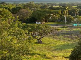  Terreno (Parcela) en venta en Tulua, Valle Del Cauca, Tulua