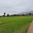  Land for sale in Pachacamac, Lima, Pachacamac