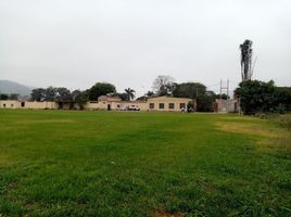  Land for sale in Pachacamac, Lima, Pachacamac