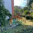 3 Bedroom Condo for sale in Medellin, Antioquia, Medellin
