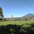  Terrain for sale in Baturiti, Tabanan, Baturiti