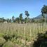  Land for sale in Tabanan, Bali, Baturiti, Tabanan