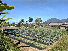  Grundstück zu verkaufen in Tabanan, Bali, Baturiti