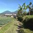  Land for sale in Tabanan, Bali, Baturiti, Tabanan