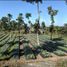  Terrain for sale in Baturiti, Tabanan, Baturiti