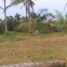  Land for sale in Dumanjug, Cebu, Dumanjug