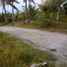  Land for sale in Dumanjug, Cebu, Dumanjug