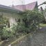 3 Bedroom House for sale in Cebu Central Visayas, Sibonga