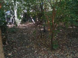  Terreno (Parcela) en venta en Biobío, Concepcion, Concepción, Biobío