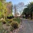 6 Bedroom House for sale in Nancagua, Colchagua, Nancagua