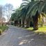6 Bedroom House for sale in Nancagua, Colchagua, Nancagua