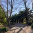 6 Bedroom House for sale in Nancagua, Colchagua, Nancagua