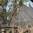1 Bedroom House for sale in Tepoztlan, Morelos, Tepoztlan