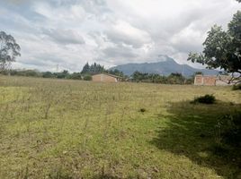  Land for sale in Cotacachi, Imbabura, Cotacachi, Cotacachi