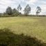  Land for sale in Cotacachi, Imbabura, Cotacachi, Cotacachi