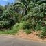  Land for sale in Muntinlupa City, Metro Manila, Muntinlupa City