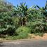  Land for sale in Muntinlupa City, Metro Manila, Muntinlupa City