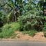  Land for sale in Muntinlupa City, Metro Manila, Muntinlupa City