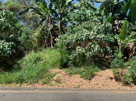 Land for sale in Muntinlupa City, Metro Manila, Muntinlupa City