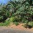  Land for sale in Muntinlupa City, Metro Manila, Muntinlupa City