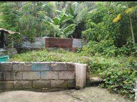  Land for sale in Santa Fe, Cebu, Santa Fe