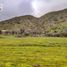  Terreno (Parcela) en venta en Melipilla, Santiago, Curacavi, Melipilla