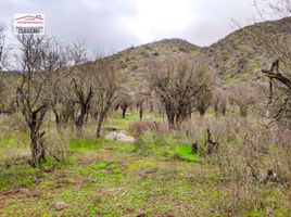  Terreno (Parcela) en venta en Melipilla, Santiago, Curacavi, Melipilla