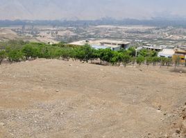  Land for sale in Pachacamac, Lima, Pachacamac