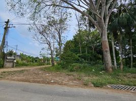  Land for sale in Cunduacan, Tabasco, Cunduacan