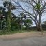  Land for sale in Cunduacan, Tabasco, Cunduacan