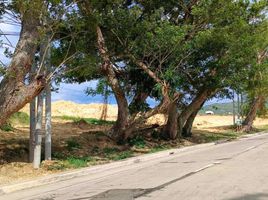  Terrain for sale in Barili, Cebu, Barili