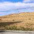  Terrain for sale in Barili, Cebu, Barili