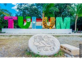  Terreno (Parcela) en alquiler en Cozumel, Quintana Roo, Cozumel, Quintana Roo