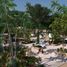  Land for sale in Hunucma, Yucatan, Hunucma