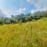  Land for sale in Tolima, Ibague, Tolima