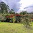  Land for sale in Rionegro, Antioquia, Rionegro