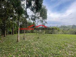  Land for sale in Rionegro, Antioquia, Rionegro
