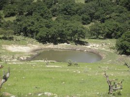  Grundstück zu verkaufen in Jilotepec, Mexico, Jilotepec