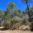  Land for sale in Amacueca, Jalisco, Amacueca