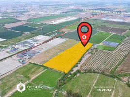  Terreno (Parcela) en venta en Chincha, Ica, Chincha Baja, Chincha