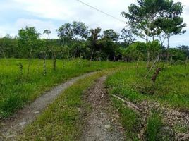  Villa en venta en San Miguel de los Bancos, Pichincha, San Miguel De Los Bancos, San Miguel de los Bancos