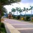  Land for sale in Minglanilla, Central Visayas, Minglanilla