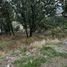  Land for sale in Zapopan, Jalisco, Zapopan