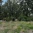  Land for sale in Zapopan, Jalisco, Zapopan