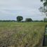  Land for sale in Liliw, Calabarzon, Liliw